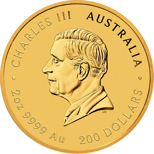 Lunar 2026 2 troy ounce gold coin