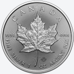 Maple Leaf 2024 1 troy ounce zilveren munt 