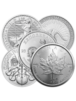 Munten mix 10 troy ounce zilveren munt